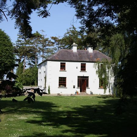Oldfarm Villa Nenagh Kültér fotó