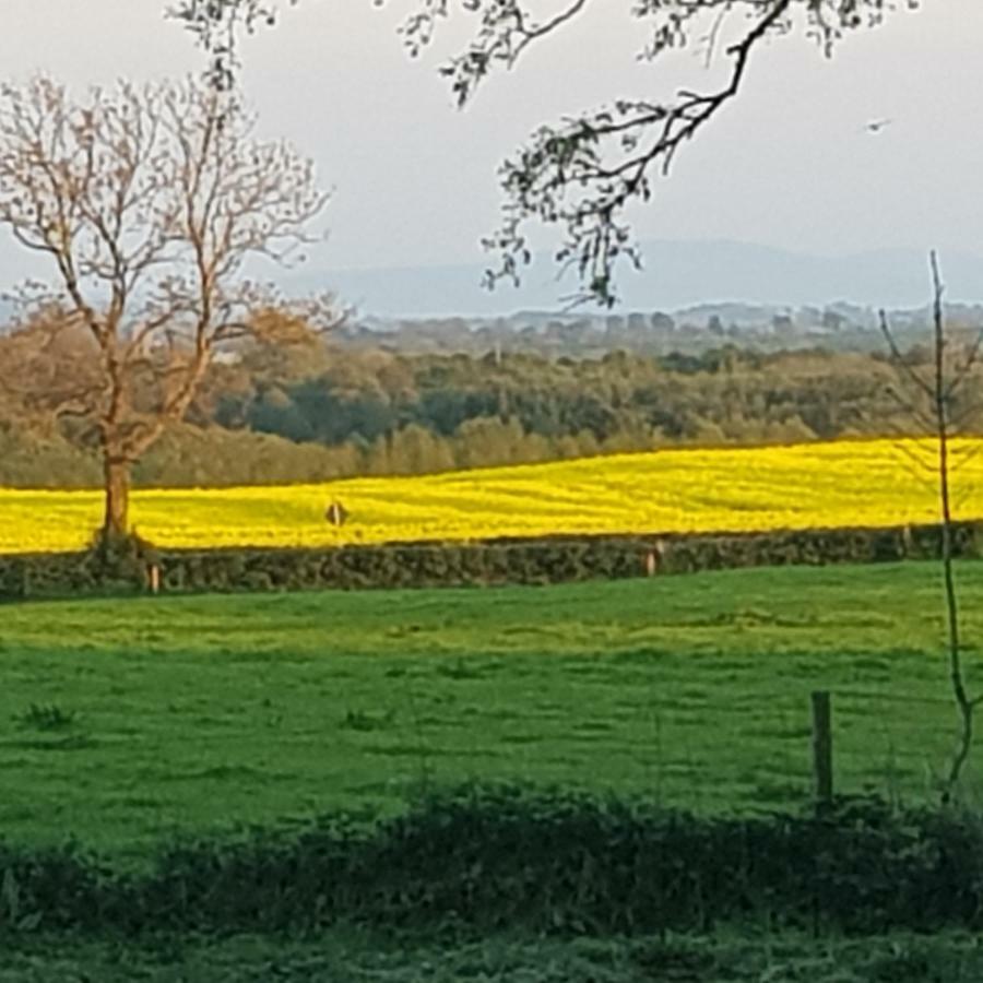 Oldfarm Villa Nenagh Kültér fotó